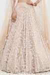Mahima Mahajan_Beige Net Embroidered Crystal Plunge V-neck Samia Swirl Lehenga Set_at_Aza_Fashions