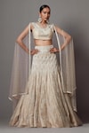 Buy_MALA AND KINNARY_Beige Net Embroidered Pearl Round Chevron Crystal Embellished Bridal Lehenga Set _at_Aza_Fashions