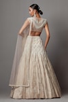 Shop_MALA AND KINNARY_Beige Net Embroidered Pearl Round Chevron Crystal Embellished Bridal Lehenga Set _at_Aza_Fashions