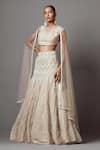 Shop_Mala and Kinnary_Beige Net Embroidered Chevron Crystal Embellished Bridal Lehenga Set _Online_at_Aza_Fashions