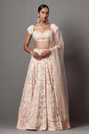 Buy_Mala and Kinnary_Pink Net Embroidered Pearl Embellished Victorian Bridal Lehenga Set _at_Aza_Fashions