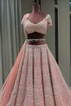 Buy_Riantas_Pink Raw Silk Hand Embroidered Glass Reverie Bridal Lehenga Set _Online_at_Aza_Fashions