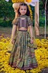 Buy_Kalista_Green Viscose Silk Hand Painted Floral Bageecha Peacock Embroidered Lehenga Set _Online_at_Aza_Fashions