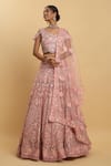 Buy_Aham-Vayam_Pink Net Embroidered Mirror Leaf Snehashish Blouse Bridal Lehenga Set _at_Aza_Fashions