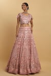 Aham-Vayam_Pink Net Embroidered Mirror Leaf Neck Snehashish Blouse Bridal Lehenga Set _Online_at_Aza_Fashions