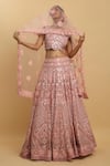 Shop_Aham-Vayam_Pink Net Embroidered Mirror Leaf Snehashish Blouse Bridal Lehenga Set _Online_at_Aza_Fashions
