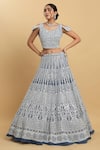 Aham-Vayam_Blue Net Embroidered Mirror Leaf Neck Suhana Lehenga Set _Online_at_Aza_Fashions