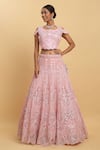 Aham-Vayam_Pink Net Embroidered Mirror Round Neck Eden Lehenga Set _Online_at_Aza_Fashions