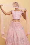 Buy_Aham-Vayam_Pink Net Embroidered Mirror Round Neck Eden Lehenga Set 