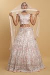 Aham-Vayam_Pink Net Embroidered Mirror Round Neck Shahi Lehenga Set _at_Aza_Fashions