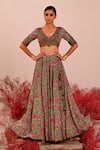 Baise Gaba_Green Lehenga And Blouse Crepe Embroidered Floral V Neck Liuora Set _Online_at_Aza_Fashions