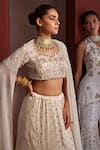 Tarini Vij_Gold Blouse And Lehenga Pure Silk Organza Embroidered Naina Dabka Floral Set _Online_at_Aza_Fashions