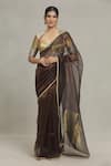 Buy_Pranay Baidya_Brown Tissue Embellished Lace Border Saree  _at_Aza_Fashions