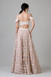 Shop_Geisha Designs_Pink Nylon, Rayon, Polyester Embroidery, Beads, Althaia Floral Work Lehenga Set _at_Aza_Fashions