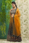 Shop_Alaya Advani_Blue Lehenga Banarasi Chinon Printed And Embroidered Ogee Pattern Blouse Set_Online_at_Aza_Fashions