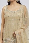 Buy_MeenaGurnam_Brown Kurta And Sharara Georgette Embroidery Sequins Scoop Floral Butti Set _Online_at_Aza_Fashions