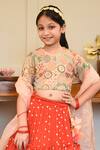 Buy_FAYON KIDS_Red Lehenga And Blouse Georgette Embroidered Thread Set_Online_at_Aza_Fashions