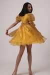 Shop_JANYAS CLOSET_Yellow Organza Satin Printed Dragon Fly Dress _at_Aza_Fashions