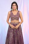 Shop_Alaya Advani_Wine Blouse And Dupatta Net Hand Embroidered Sequins V Neck Lehenga Set 