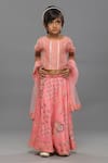 Buy_Para_Pink Muslin Silk Printed And Embroidered Floret Lehenga Set _at_Aza_Fashions