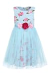 Buy_A Little Fable_Blue Cotton Embroidered 3d Flower Rose Dress_at_Aza_Fashions