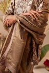 Buy_Shorshe Clothing_Grey Tissue Striped Woven Zari Dupatta _Online_at_Aza_Fashions