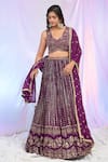 Alaya Advani_Wine Blouse And Dupatta Net Hand Embroidered Sequins V Neck Lehenga Set _Online