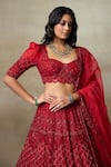 Shop_SHASHA GABA_Red Silk Organza, Canvas Stones, Embroidery, Swarovski Bridal Lehenga Set 