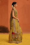 Archana Jaju_Yellow Handwoven Organza Silk Hand Painted Cutwork Zari Embellished Saree _Online_at_Aza_Fashions