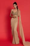 Buy_Aurouss_Gold Mesh Net Hand Embroidery Leaves Sweetheart Pre-draped Saree With Blouse _Online_at_Aza_Fashions