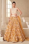 Buy_Taavare_Gold Tissue Organza Printed Floral Round Embroidered Lehenga Set _at_Aza_Fashions