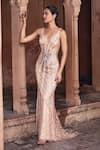 Buy_DiyaRajvvir_Beige Tulle Embroidery Sequins Plunging V Neck Gown _at_Aza_Fashions