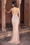 Shop_DiyaRajvvir_Beige Tulle Embroidery Sequins Plunging V Neck Gown _at_Aza_Fashions