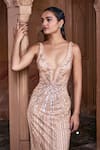 DiyaRajvvir_Beige Tulle Embroidery Sequins Plunging V Neck Gown _Online_at_Aza_Fashions