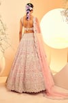 Shop_Aneesh Agarwaal_Pink Tulle Embroidery Zari Sweetheart Sheesh Mahal Mirror Bridal Lehenga Set _at_Aza_Fashions