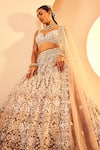 Buy_Aneesh Agarwaal_Grey Tulle Embroidery Zari Mughal Damask Foil Bridal Lehenga Set _Online_at_Aza_Fashions