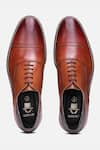 Hats Off Accessories_Brown Plain Oxford Shoes _at_Aza_Fashions