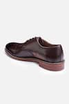 Hats Off Accessories_Brown Solid Pointed Toe Derby Shoes _at_Aza_Fashions