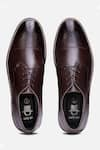 Buy_Hats Off Accessories_Brown Solid Pointed Toe Derby Shoes _Online