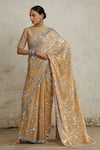 Buy_SAKSHAM & NEHARICKA_Gold Tissue Hand Embroidered Floral Jaal Rajkumari Saree With Blouse  _at_Aza_Fashions