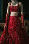 Mishru_Red Tulle Embroidery Floral Daphene Bridal Lehenga With Blouse  _Online_at_Aza_Fashions