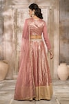 Rishi & Vibhuti x AZA_Pink Chanderi Embroidered Chevron Round Pattern Lehenga Set _Online_at_Aza_Fashions