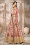 Rishi & Vibhuti x AZA_Pink Chanderi Embroidered Chevron Round Pattern Lehenga Set _Online