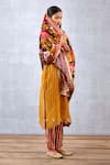 Shop_Torani_Yellow Velvet And Crepe Print & Aftaabi Malika Doshala  _Online_at_Aza_Fashions