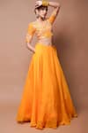 Buy_Ahi Clothing_Yellow Heavy Organza Embroidery Zardosi V Neck Bloom Vine Blouse With Lehenga_Online_at_Aza_Fashions