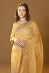 Shop_TULPALAV_Gold Organza Embroidered Kashmiri Work Pre-draped Saree With Blouse _Online_at_Aza_Fashions