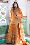 Buy_TULPALAV_Orange Kurta And Lehenga Organza Embroidered Kashmiri Tilla Notched Blouse Set _at_Aza_Fashions