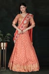 Buy_Jalwa by Nidhi Kejriwal_Orange Silk Hand Embroidered Floral V Neck Lehenga Saree With Blouse _at_Aza_Fashions
