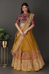 Buy Nidhi Kejriwal Gold Silk, Tissue Embroidery, Diamonds Split V-neck Hand Blouse Lehenga Set at Aza Fashions Buy_Nidhi Kejriwal_Gold Silk, Tissue Embroidery, Diamonds Split V-neck Hand Blouse Lehenga Set _at_Aza_Fashions