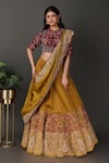 Buy Nidhi Kejriwal Gold Silk, Tissue Embroidery, Diamonds Split V-neck Hand Blouse Lehenga Set Online at Aza Fashions Buy_Nidhi Kejriwal_Gold Silk, Tissue Embroidery, Diamonds Split V-neck Hand Blouse Lehenga Set _Online_at_Aza_Fashions